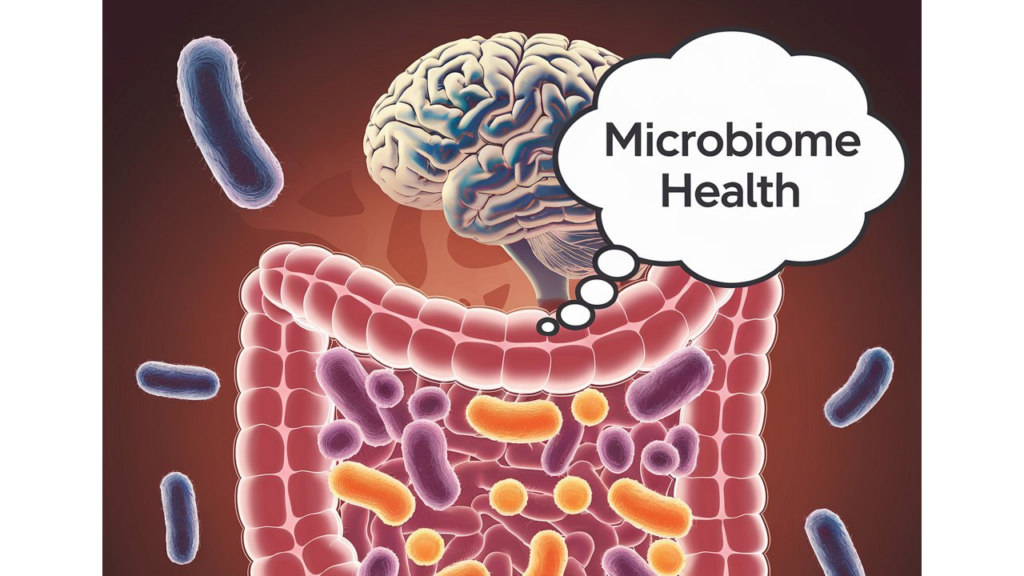 Microbiome Health and Microbiota Gut Brain Axis Relationship