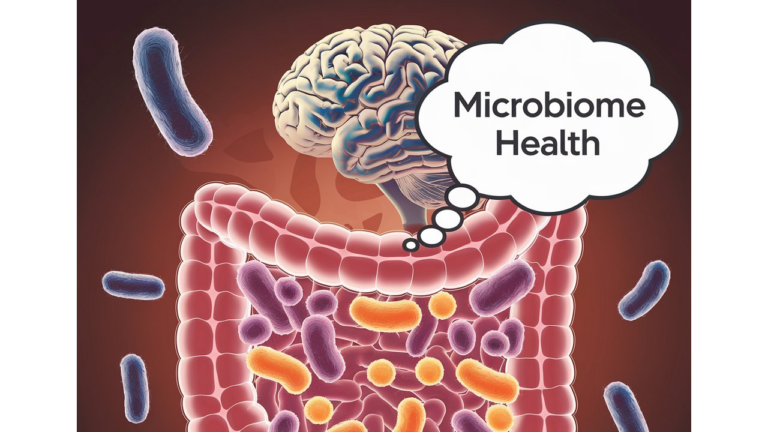 Microbiome Health and Microbiota Gut Brain Relationship